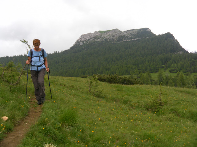Foto: Wolfgang Lauschensky / Wandertour / Monte Pena oder Penna 2196m / Almpfad vom Monte Pena / 02.07.2011 16:23:56
