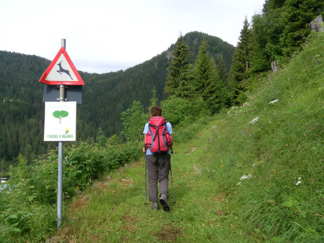 Foto: Wolfgang Lauschensky / Wandertour / Col del Fer 2019m / Wanderweg zur Veneziahütte oberhalb Zoppe / 03.07.2011 17:55:38