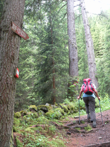 Foto: Wolfgang Lauschensky / Wandertour / Col del Fer 2019m / schattiger Waldanstieg / 03.07.2011 17:55:22