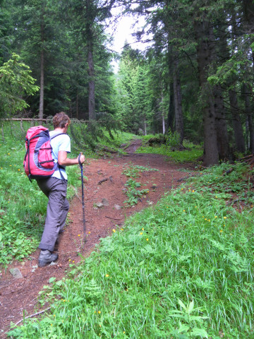 Foto: Wolfgang Lauschensky / Wandertour / Col del Fer 2019m / am bewaldeten Rücken Richtung Norden / 03.07.2011 17:55:10