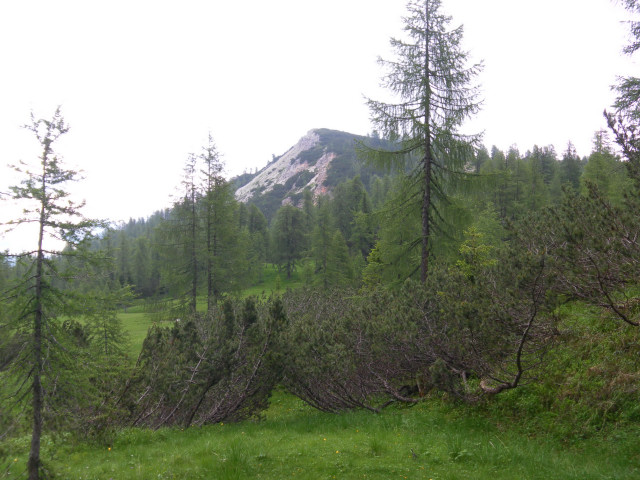 Foto: Wolfgang Lauschensky / Wandertour / Col del Fer 2019m / Almwanderung Richtung Col del Fer / 03.07.2011 17:54:17