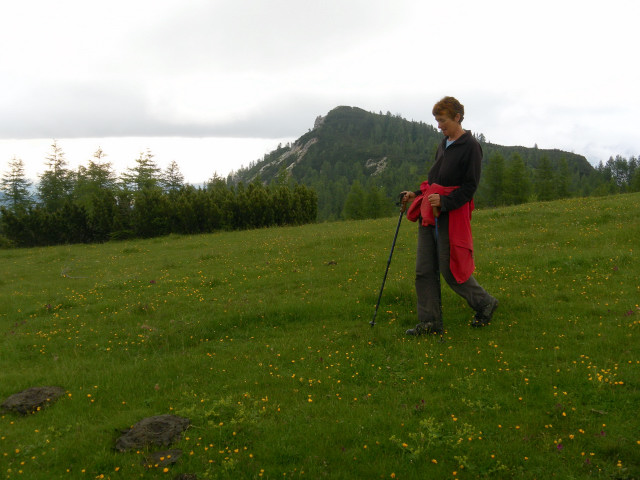 Foto: Wolfgang Lauschensky / Wandertour / Col del Fer 2019m / Rückweg vom Col del Fer / 03.07.2011 17:52:09