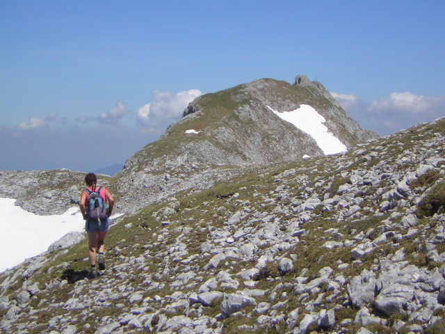 Foto: Wolfgang Lauschensky / Wandertour / Tiroler Kogel 2322m über Hochkogelklettersteig / der grasig-schrofige Rücken zum Tiroler Kogel / 03.07.2011 18:38:39