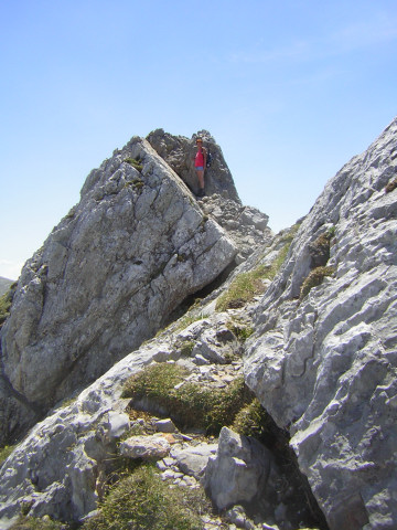 Foto: Wolfgang Lauschensky / Wandertour / Tiroler Kogel 2322m über Hochkogelklettersteig / schmaler Gratpfad, teils grasig, teils felsig / 03.07.2011 18:37:44