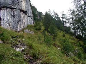 Foto: Datzi / Wandertour / Tennengebirge Überschreitung mit Biwak am Tirolerkogel - Lehnender Stein - Raucheck - Scheiblingskogel / Der Anstieg zum Niedertörl vom Paß Lueg / 05.07.2011 21:15:45