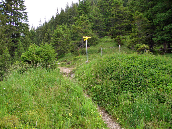 Foto: vince 51 / Wandertour / von Elbigenalp auf die Rotwand / Wegteilung: links zur H.v.Barth-Hütte, rechts zur Rotwand / 20.07.2011 22:52:11