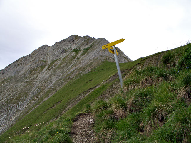 Foto: vince 51 / Wandertour / von Elbigenalp auf die Rotwand / Wegteilung: links zum Balschtesattel, rechts zur Rotwand / 20.07.2011 22:45:10
