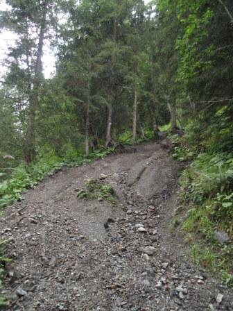 Foto: GeriAut / Mountainbiketour / Kirchberg-Bike Challenge (i.A. an Kitzalpbike-Extrem) / Und der Trail im Gelände / 01.08.2011 21:29:57