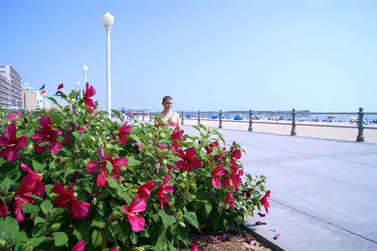Foto: Andreas Koller / Wandertour / Virginia Beach Boardwalk (5m) / 06.08.2011 20:27:01