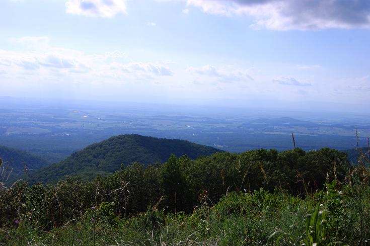 Foto: Andreas Koller / Wandertour / Shenandoah National Park (1235m) / 09.08.2011 22:30:12
