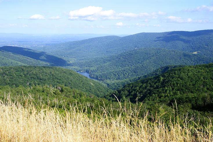 Foto: Andreas Koller / Wandertour / Shenandoah National Park (1235m) / 09.08.2011 22:30:05