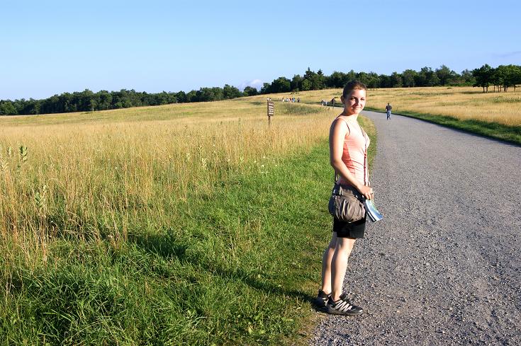 Foto: Andreas Koller / Wandertour / Shenandoah National Park (1235m) / 09.08.2011 22:29:58