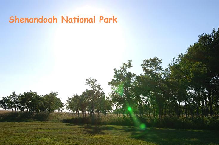 Foto: Andreas Koller / Wandertour / Shenandoah National Park (1235m) / 09.08.2011 22:29:46