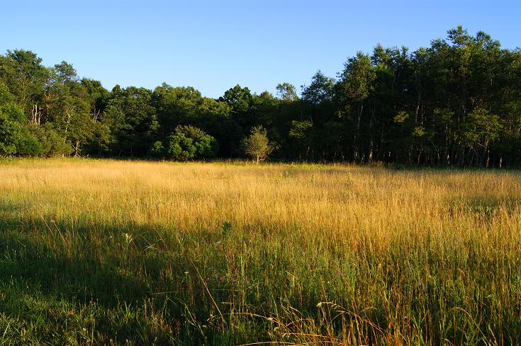 Foto: Andreas Koller / Wandertour / Shenandoah National Park (1235m) / 09.08.2011 22:28:45