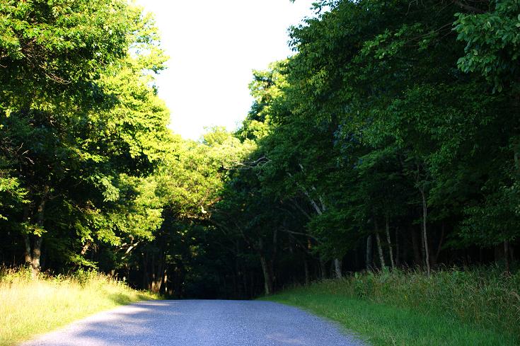 Foto: Andreas Koller / Wandertour / Shenandoah National Park (1235m) / 09.08.2011 22:28:21