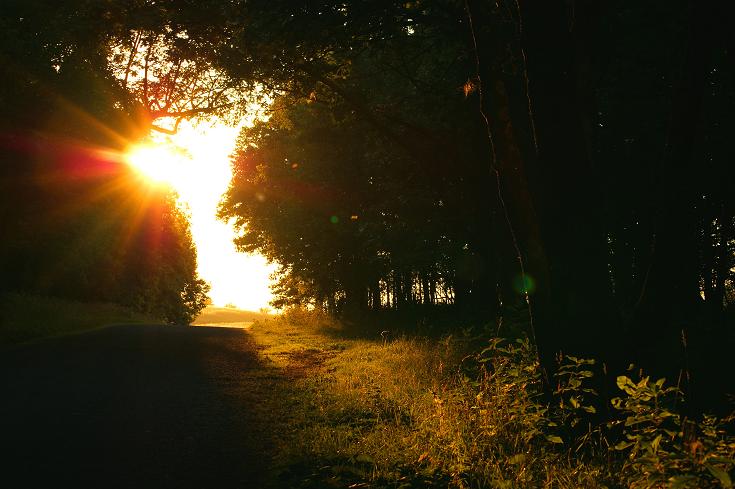 Foto: Andreas Koller / Wandertour / Shenandoah National Park (1235m) / 09.08.2011 22:27:44