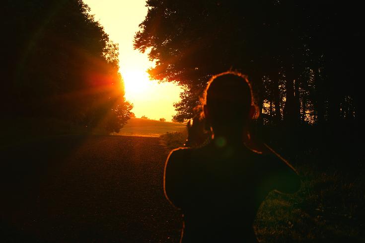 Foto: Andreas Koller / Wandertour / Shenandoah National Park (1235m) / 09.08.2011 22:27:34