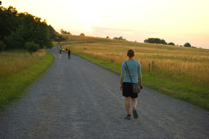 Foto: Andreas Koller / Wandertour / Shenandoah National Park (1235m) / 09.08.2011 22:27:06