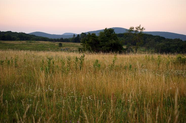 Foto: Andreas Koller / Wandertour / Shenandoah National Park (1235m) / 09.08.2011 22:26:49