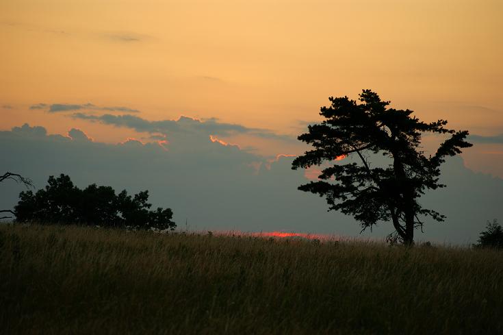 Foto: Andreas Koller / Wandertour / Shenandoah National Park (1235m) / 09.08.2011 22:26:28