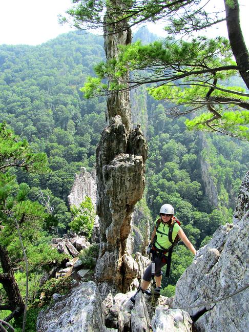 Foto: Andreas Koller / Klettersteigtour / Via ferrata Nelson Rocks (1006m) / 14.08.2011 02:46:30