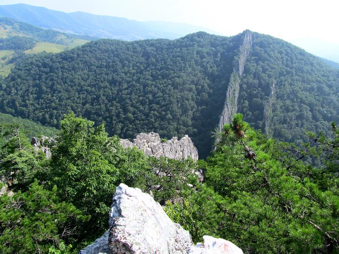 Foto: Andreas Koller / Klettersteigtour / Via ferrata Nelson Rocks (1006m) / Blick zur Headwall / 14.08.2011 02:43:22