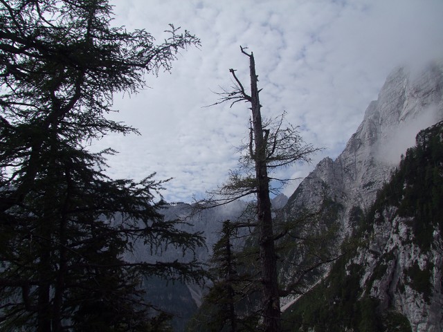 Foto: Datzi / Wandertour / Wandertour zum Jalovec mit sehr schwieriger Gratüberschreitung an der slowenischen u. Italienischen Grenze / Die mächtigen Felsaufschwünge immer ein Grund zum staunen, besonders die Nebelstimmung / 15.08.2011 18:05:42