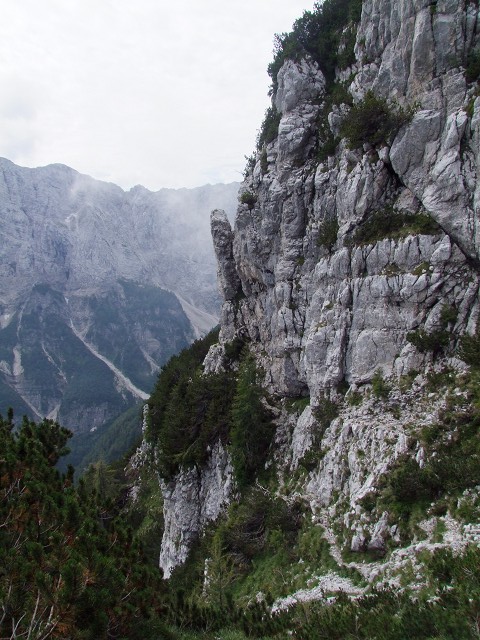 Foto: Datzi / Wandertour / Wandertour zum Jalovec mit sehr schwieriger Gratüberschreitung an der slowenischen u. Italienischen Grenze / Beim Anstieg vom Dom Tamarju zur Gratüberschreitung sind auch schmale Pfade zu gehen (Mit Seil gesichert) / 15.08.2011 19:40:03