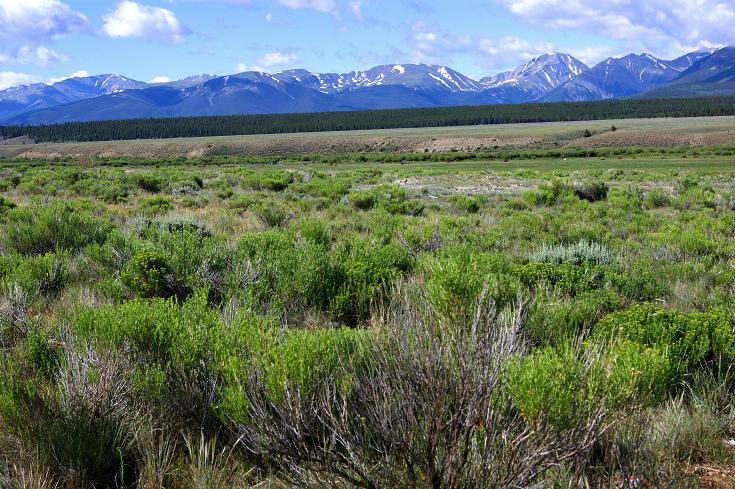 Foto: Andreas Koller / Wandertour / Leadville und Umgebung (3090m) / 22.08.2011 23:35:42