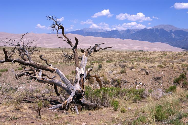 Foto: Andreas Koller / Wandertour / Great Sand Dunes National Park (2648m) / 23.08.2011 00:05:21
