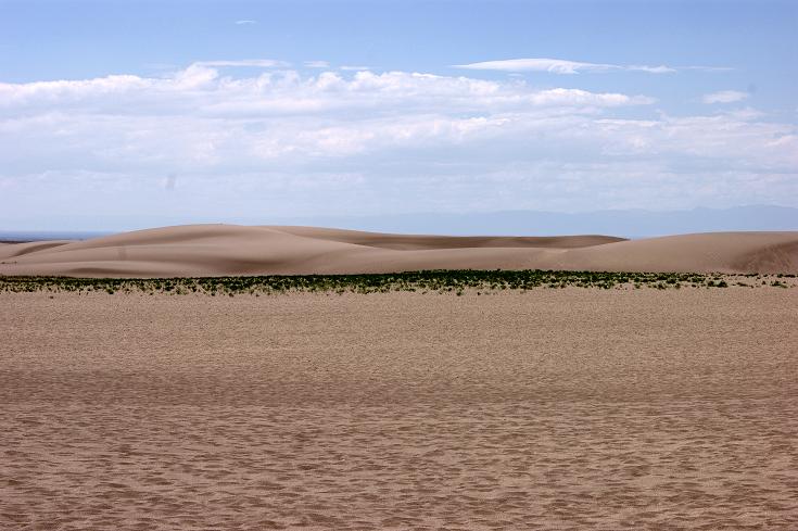 Foto: Andreas Koller / Wandertour / Great Sand Dunes National Park (2648m) / 23.08.2011 00:03:34