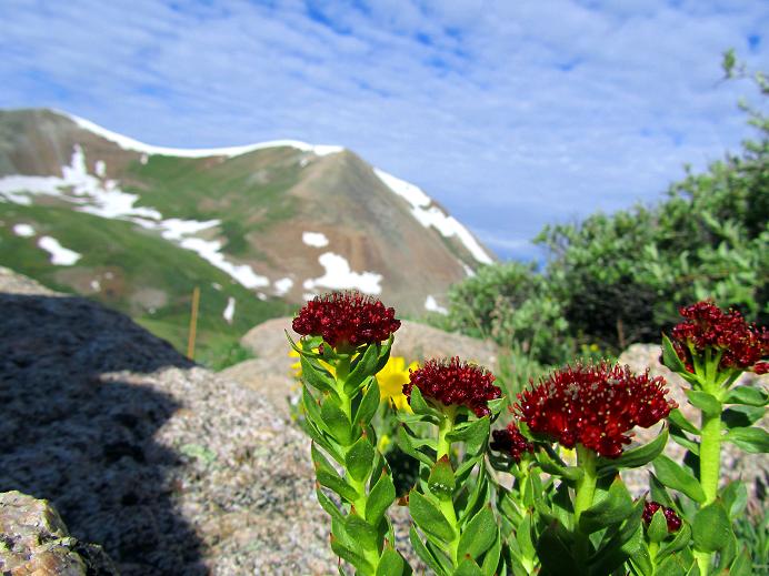 Foto: Andreas Koller / Wandertour / Mount Sherman (4278m) / 27.08.2011 18:24:56