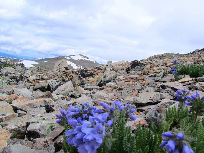 Foto: Andreas Koller / Wandertour / Mount Sherman (4278m) / 27.08.2011 18:21:55