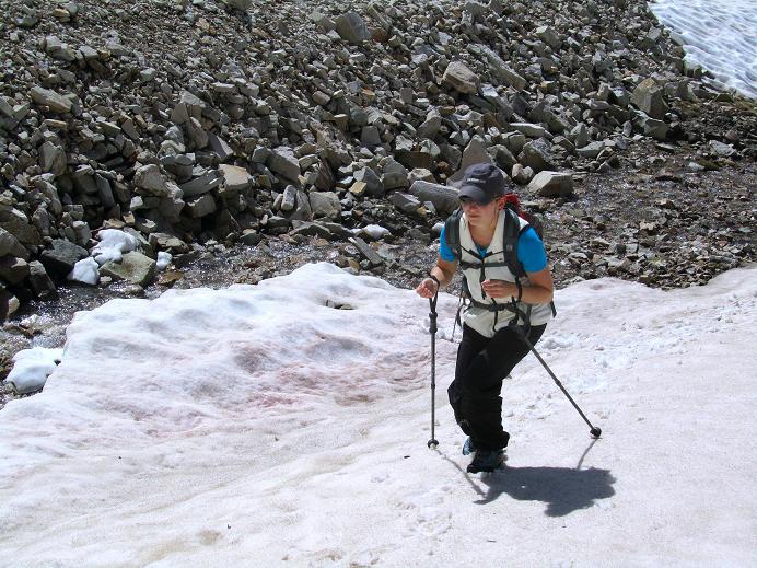 Foto: Andreas Koller / Wandertour / Dyer Mountain (4223m) / 27.08.2011 23:12:07