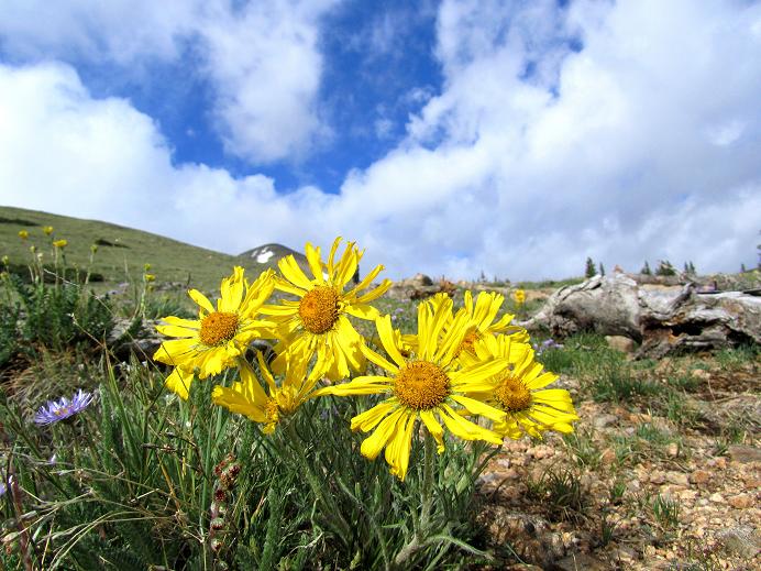 Foto: Andreas Koller / Wandertour / Mount Elbert (4399m) / 28.08.2011 00:26:15