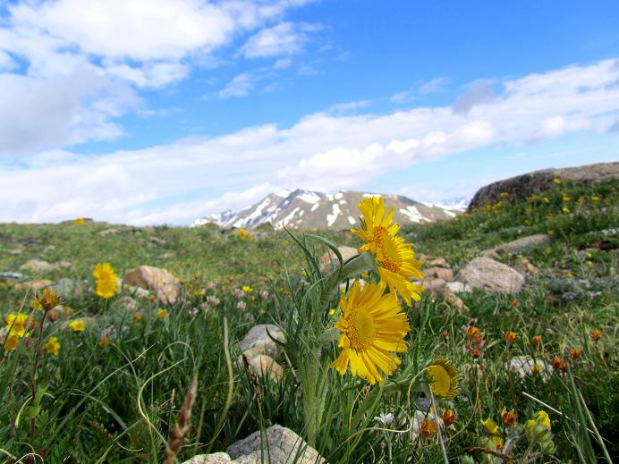 Foto: Andreas Koller / Wandertour / Mount Elbert (4399m) / 28.08.2011 00:24:29