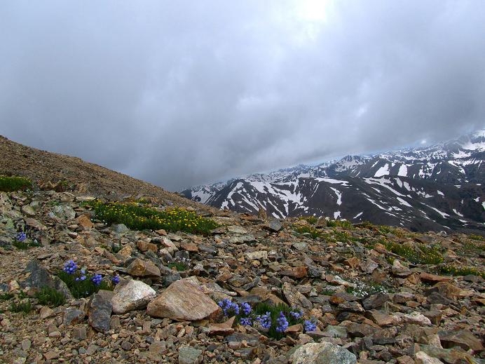 Foto: Andreas Koller / Wandertour / Mount Elbert (4399m) / 28.08.2011 00:23:04