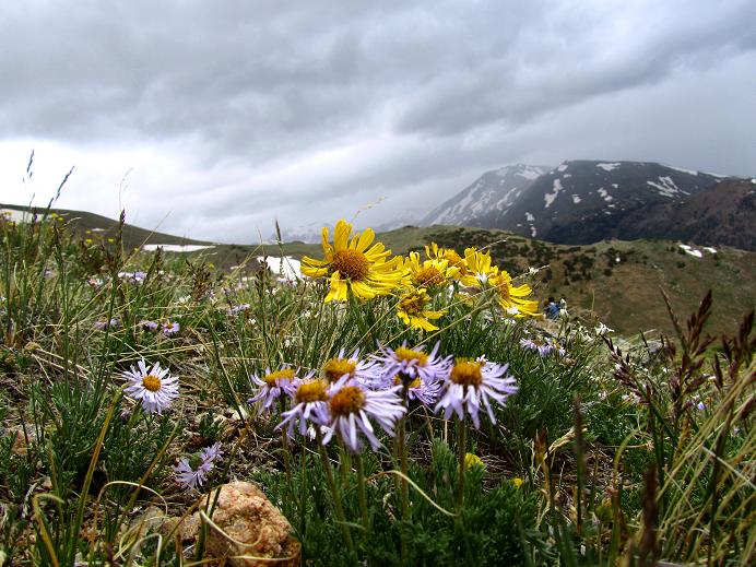 Foto: Andreas Koller / Wandertour / Mount Elbert (4399m) / 28.08.2011 00:19:52