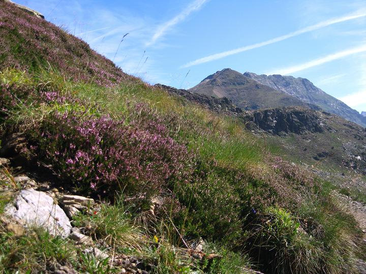 Foto: Andreas Koller / Wandertour / Pic de Tristaina (2878m) / 06.09.2011 19:37:27
