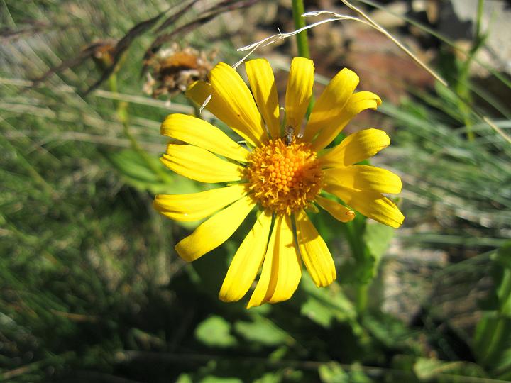 Foto: Andreas Koller / Wandertour / Pic de Tristaina (2878m) / 06.09.2011 19:35:05