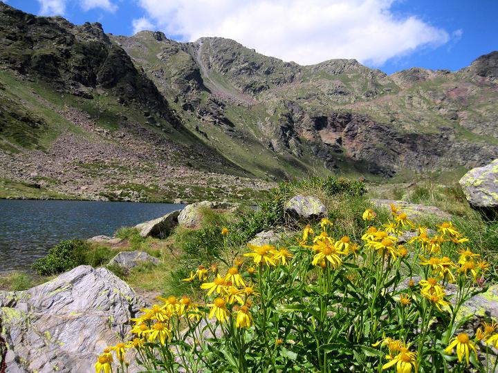 Foto: Andreas Koller / Wandertour / Pic de Tristaina (2878m) / Zurück bei den Estanys de Tristaina / 06.09.2011 19:26:54