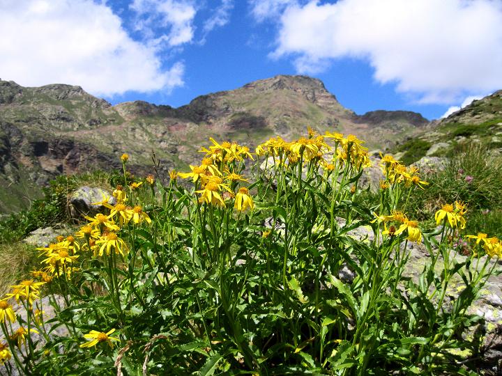 Foto: Andreas Koller / Wandertour / Pic de Tristaina (2878m) / 06.09.2011 19:26:35