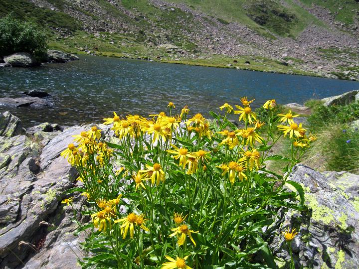 Foto: Andreas Koller / Wandertour / Pic de Tristaina (2878m) / 06.09.2011 19:26:29