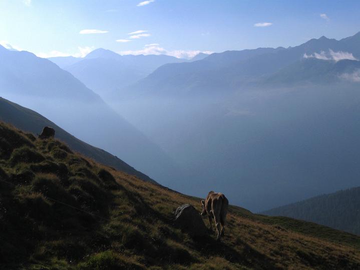 Foto: Andreas Koller / Wandertour / Piz Kesch (3418m) / 06.09.2011 22:06:25