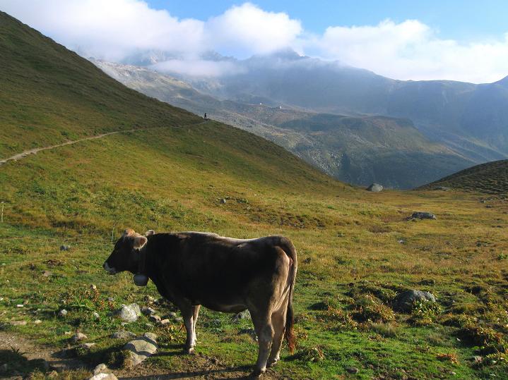 Foto: Andreas Koller / Wandertour / Piz Kesch (3418m) / 06.09.2011 22:06:07