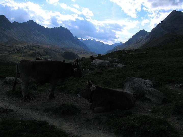 Foto: Andreas Koller / Wandertour / Piz Kesch (3418m) / 06.09.2011 21:51:46