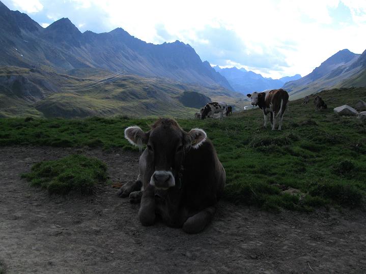 Foto: Andreas Koller / Wandertour / Piz Kesch (3418m) / Zurück zur Albulapassstraße / 06.09.2011 21:51:39