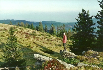 Foto: Wolfgang Dröthandl / Wandertour / Steinplanüberschreitung vom Gaberl nach Knittelfeld / Blick vom Gipfel Richtung Südosten (Köflach / Voitsberg) / 06.10.2011 13:51:29