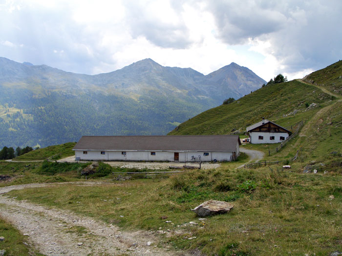 Foto: vince 51 / Wandertour / von Süden auf den Piz Terza / Alp Valmorain / 21.09.2011 00:58:15