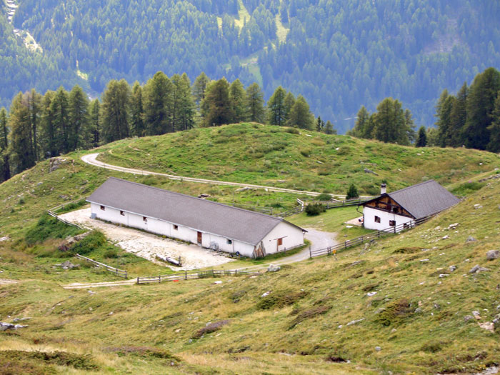 Foto: vince 51 / Wandertour / von Süden auf den Piz Terza / Alp Valmorain vom Karrenweg / 21.09.2011 00:56:52